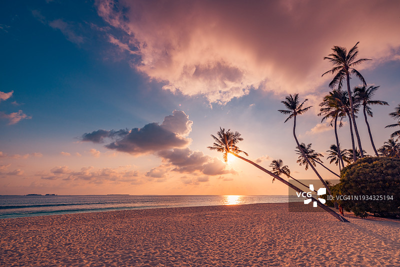 最佳海岛沙滩：棕榈树剪影全景目的地景观，迷人的海沙，热门度假热带海滩海景，橙金色日落天空，平静的夏日旅行图片素材