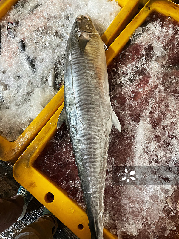 市场上的新鲜鱼图片素材