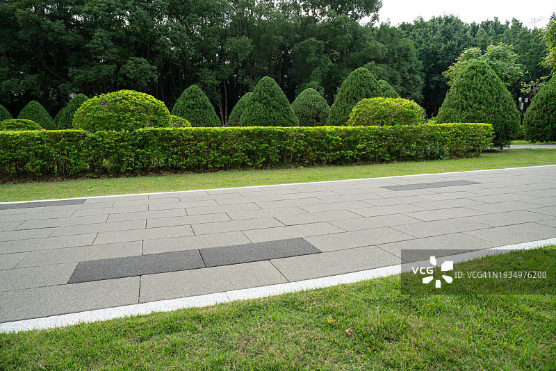 道路和绿化带图片素材