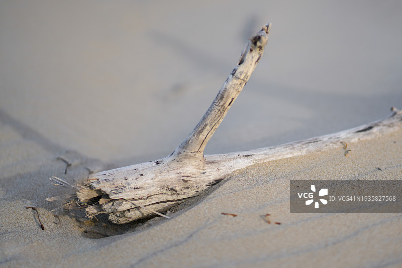 沙滩上的木头禅意摆件图片素材