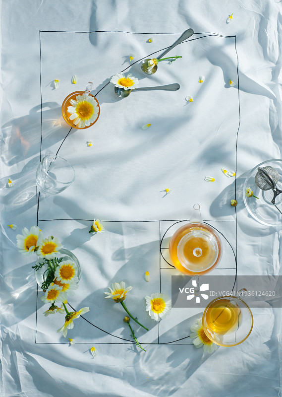 茶和洋甘菊花的黄金比例，创意饮品平面图图片素材