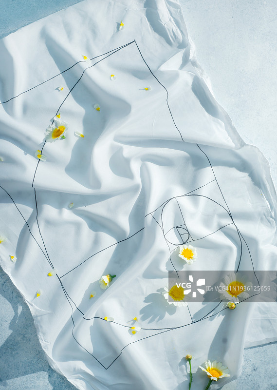 茶和洋甘菊花的黄金比例，创意饮品平面图图片素材