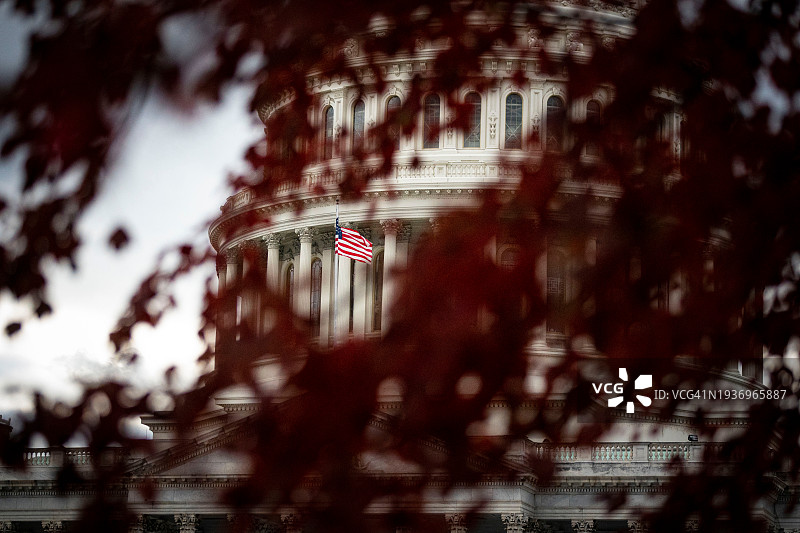 美国国会大厦与红色枫叶图片素材