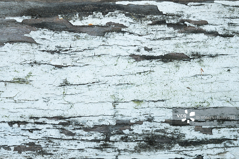 白色油漆剥落，老旧的白色木纹背景图片素材