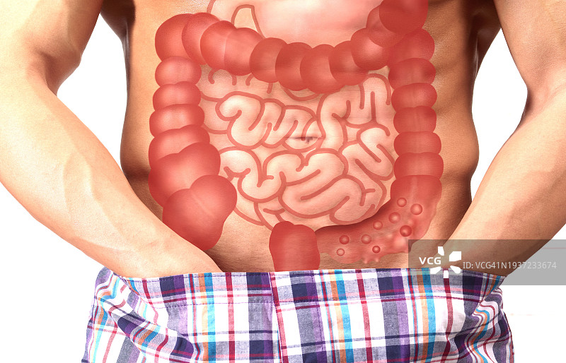 男人肠道细节图片素材