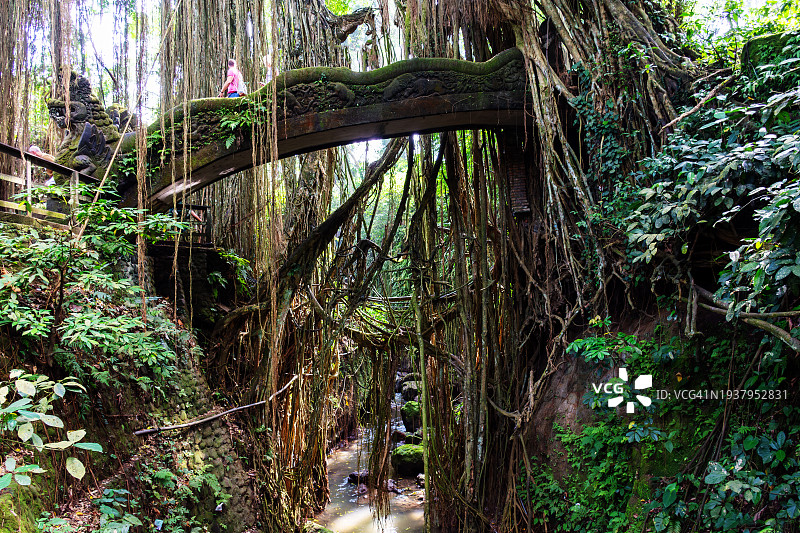 巴厘岛猴 forest 保护区的龙桥图片素材