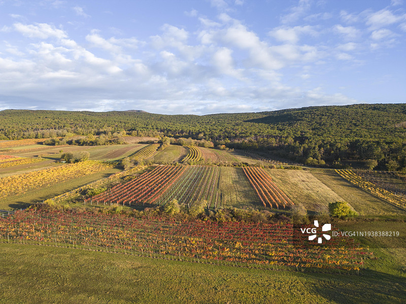 奥地利下奥州巴德弗斯劳格罗绍秋季葡萄园航拍图片素材
