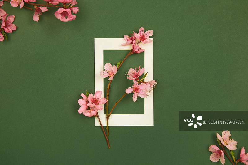 春花边框设计：桃花、樱花、杏花在深绿色背景上盛开，白色相框，留白图片素材