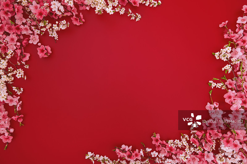 粉色、红色和白色桃花、樱桃、木瓜和杏花在鲜红色背景上盛开的春花边框设计，扁平风格，留白图片素材