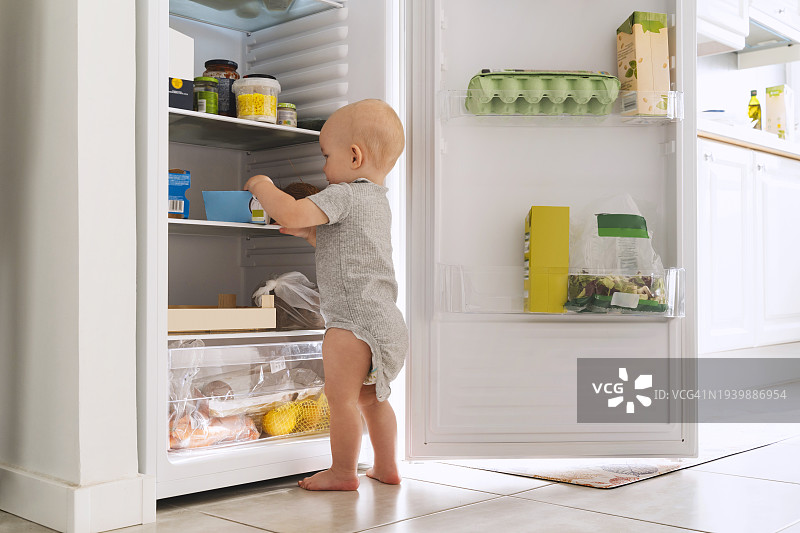 男婴在家中探索冰箱里的食物图片素材
