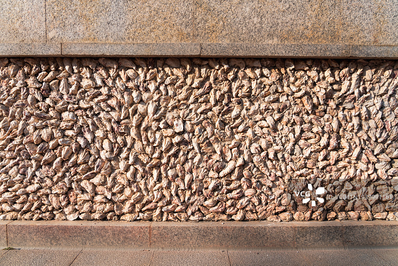 用牡蛎壳装饰的墙壁图片素材