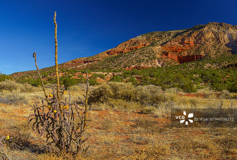 美国新墨西哥州赫梅斯的田野景色图片素材