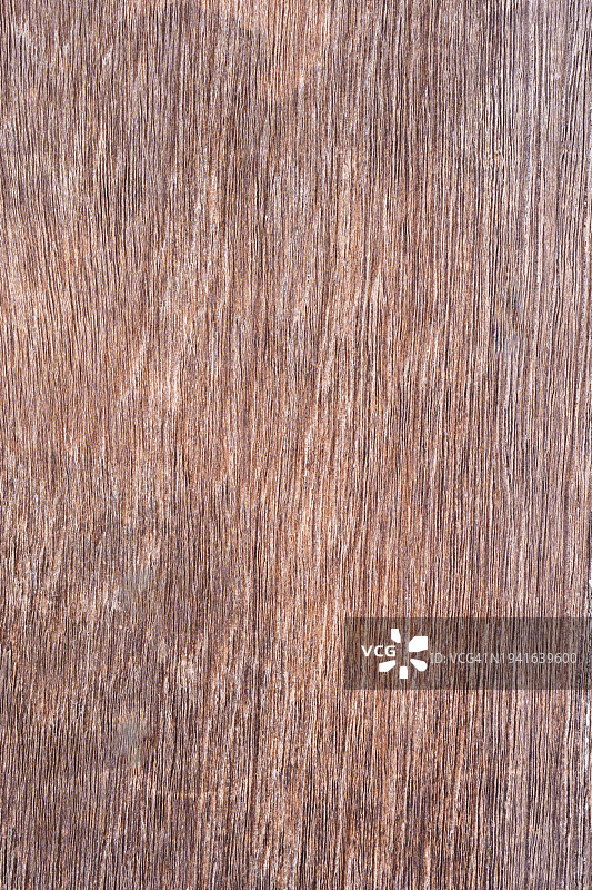 旧木头的纹理和图案图片素材