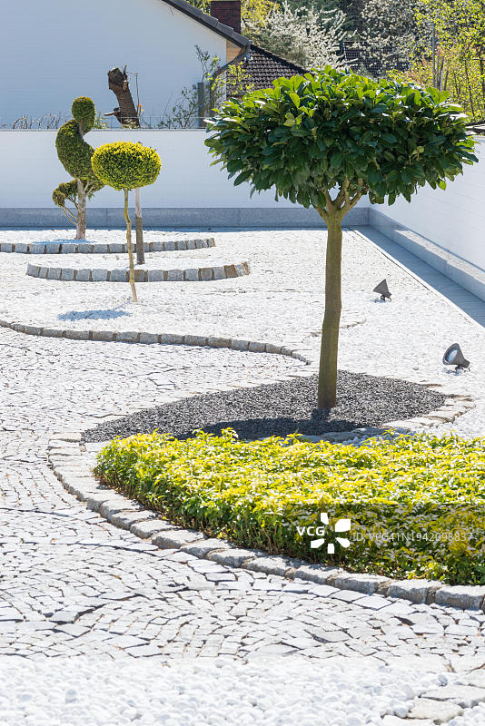 具有几何形状和聚光灯的现代花园，具有艺术修剪的树木和铺砌的小路，白色墙壁的砾石花园图片素材