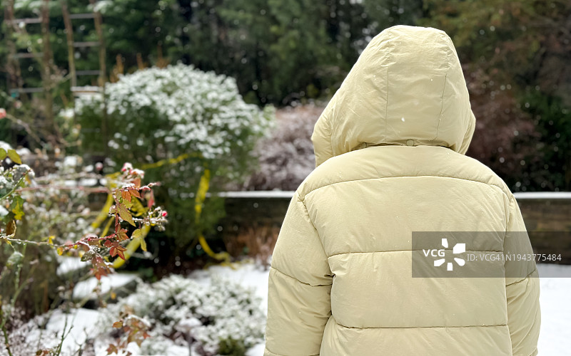 冬季花园里站在小雪中的女人图片素材