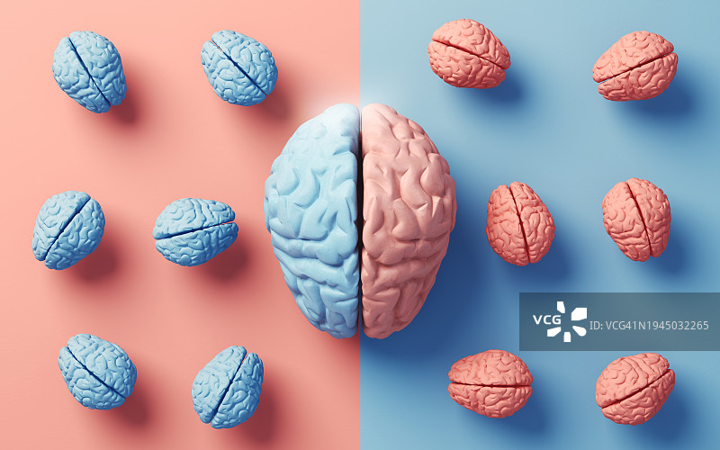 柔和彩色背景上的人脑左右叶解剖结构图片素材