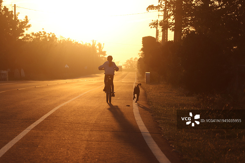 夕阳下抱着小狗的小女孩图片素材