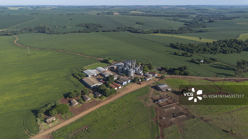 大豆和玉米农场的农业筒仓图片素材