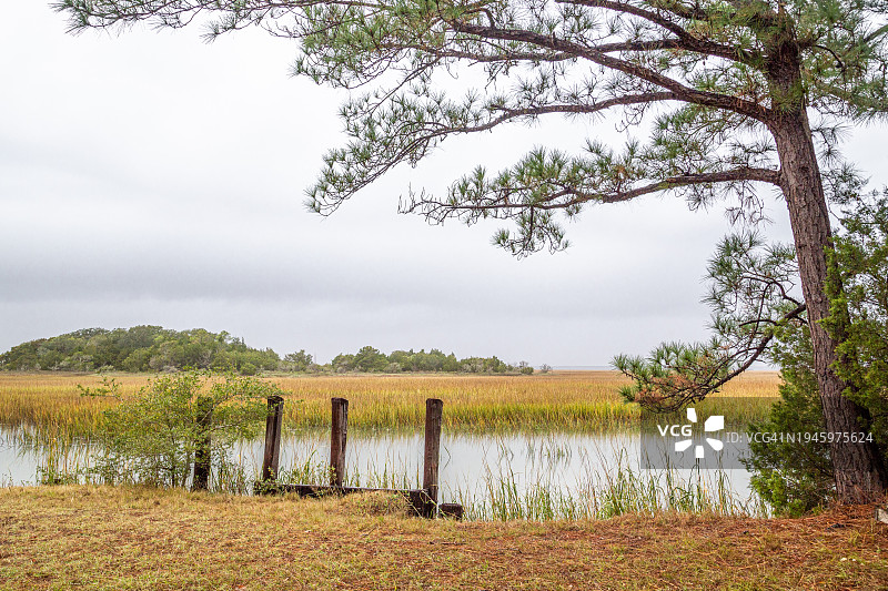 公牛岛图片素材