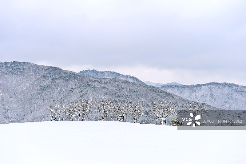 韩国江原道原州市雉岳山雪景图片素材