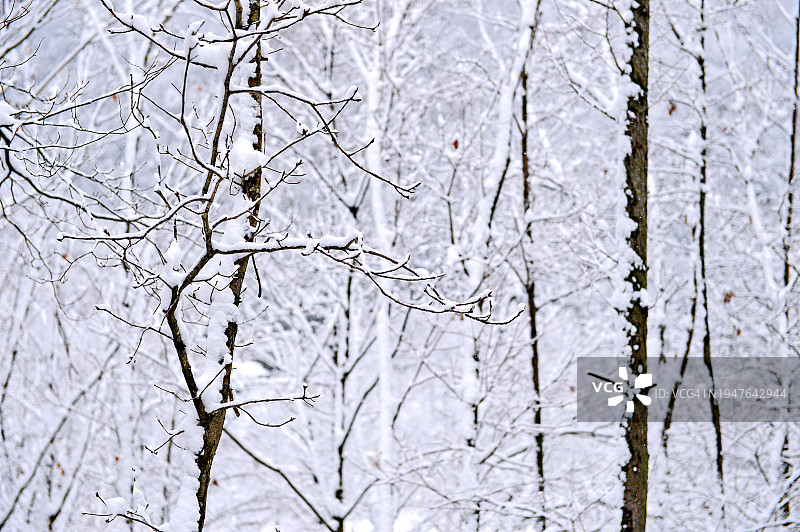 韩国江原道原州市雉岳山雪景图片素材