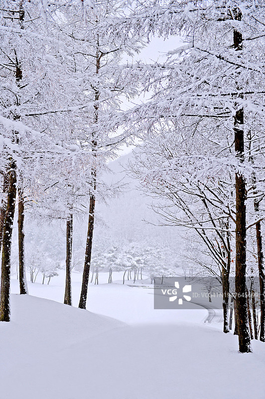 韩国江原道原州市雉岳山雪景图片素材