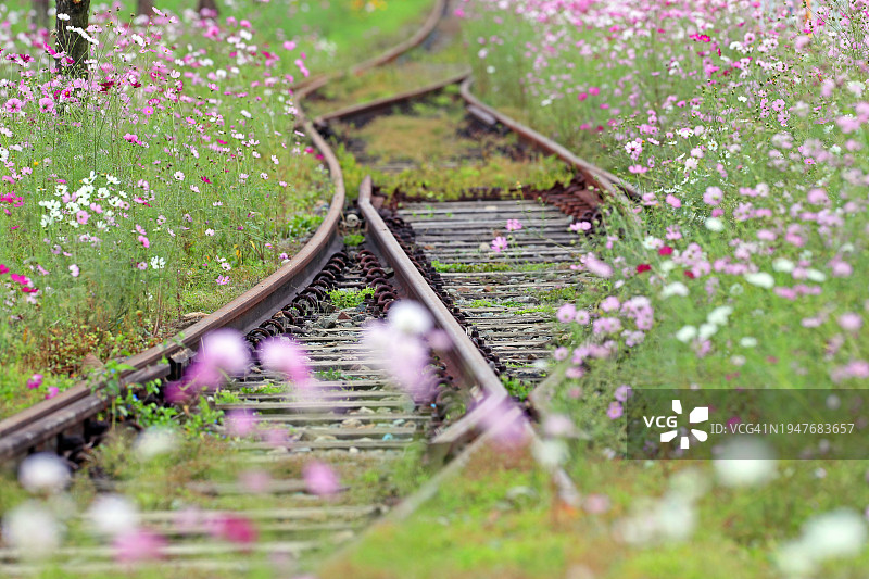 庆尚南道，哈东图片素材