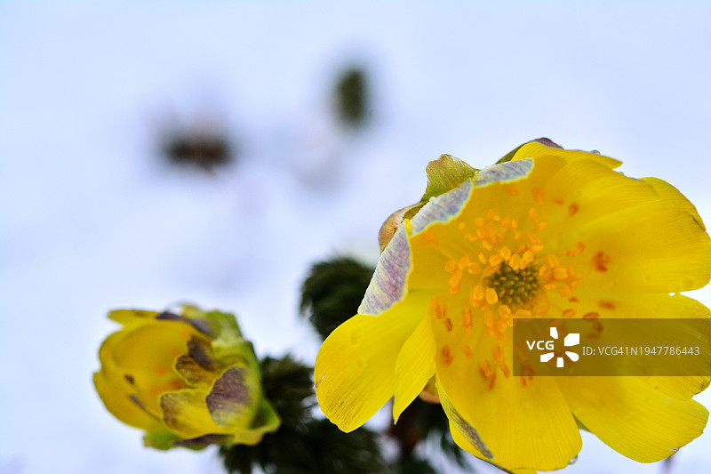 韩国江原道原州市 Sillim-myeon图片素材