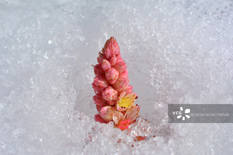 韩国江原道原州市 Sillim-myeon图片素材