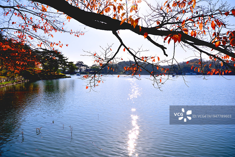 中国忠清北道堤川市义林池地区图片素材