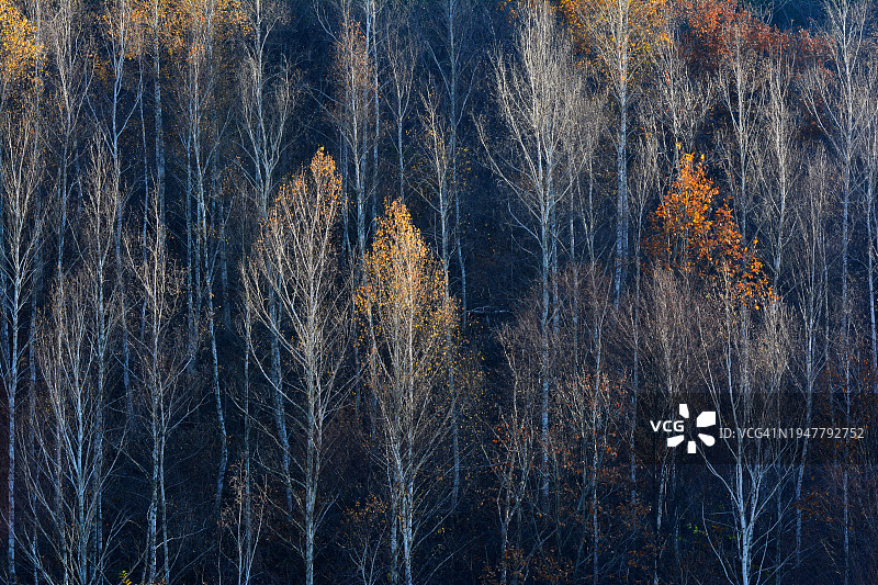 横城郡安兴面图片素材