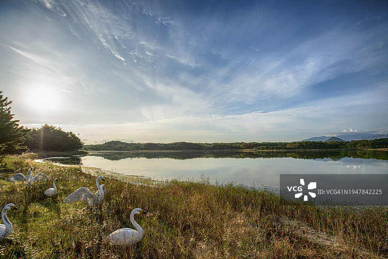 韩国江原道高城郡稻田乡村风光摄影图片素材