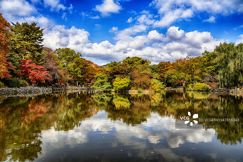 韩国传统文化地标：树木、水、秋叶、枫树、湖泊、池塘、建筑图片素材