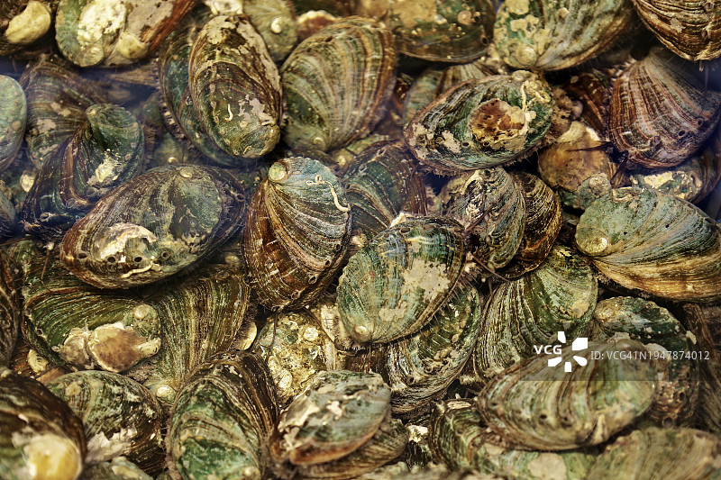 韩国济州岛海鲜鱼市美食图片素材