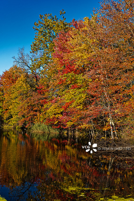 罗克兰湖池塘竖版照片图片素材