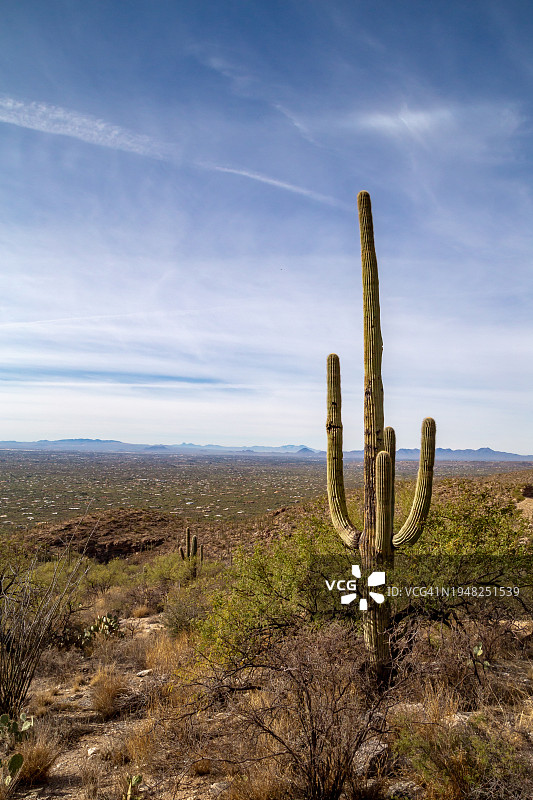 卡塔琳娜公路风景驾驶路线图片素材