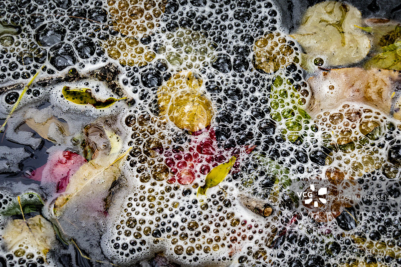 气泡和秋叶图片素材