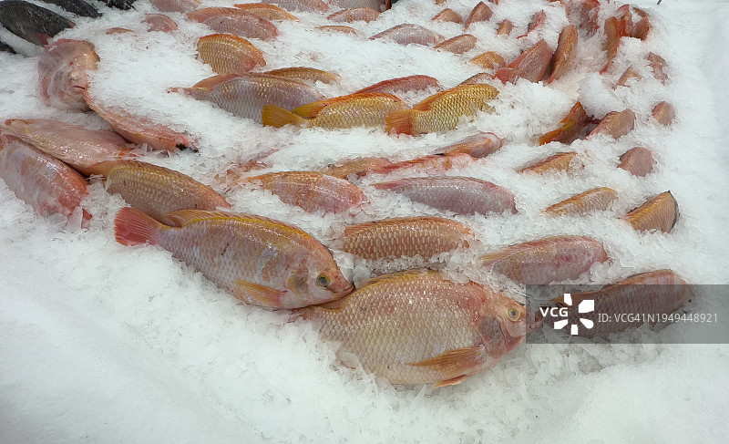 市场上的冰鲜红色罗非鱼图片素材