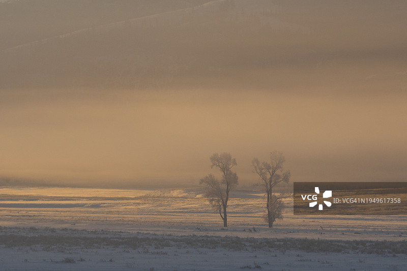 黄石国家公园拉马尔山谷在寒冷多雾的冬日清晨日出时的风景图片素材