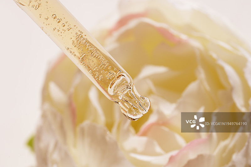 滴管中的面部精华液或天然精油和娇嫩的米色牡丹花蕾图片素材