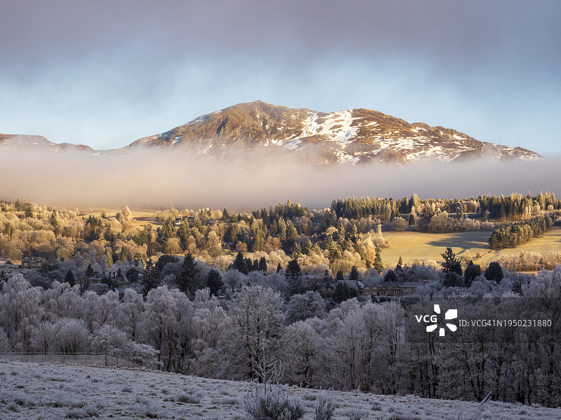 英国苏格兰珀斯郡布莱尔阿索尔附近林地的雾凇图片素材