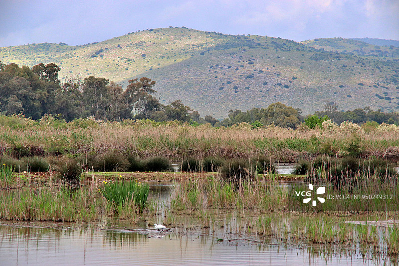 以色列胡拉谷地风光图片素材