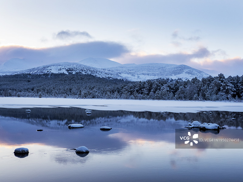 英国苏格兰阿维莫尔，凯恩戈姆山脚下冰封的莫里奇湖和古老的喀里多尼亚松树林图片素材