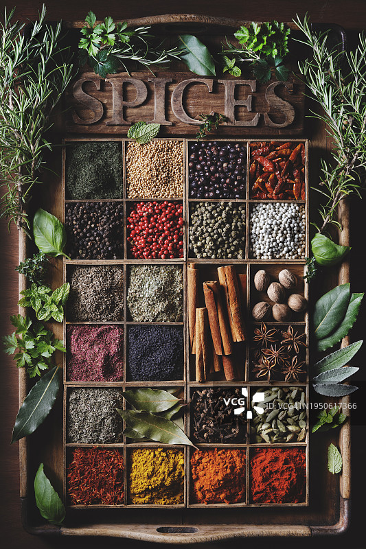 收集不同的香料和草药图片素材