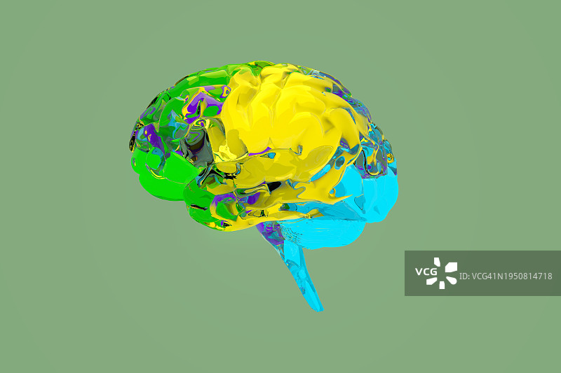 彩色大脑图片素材