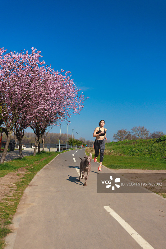 晴朗的一天，年轻女子在巷子里和她的狗一起跑步图片素材