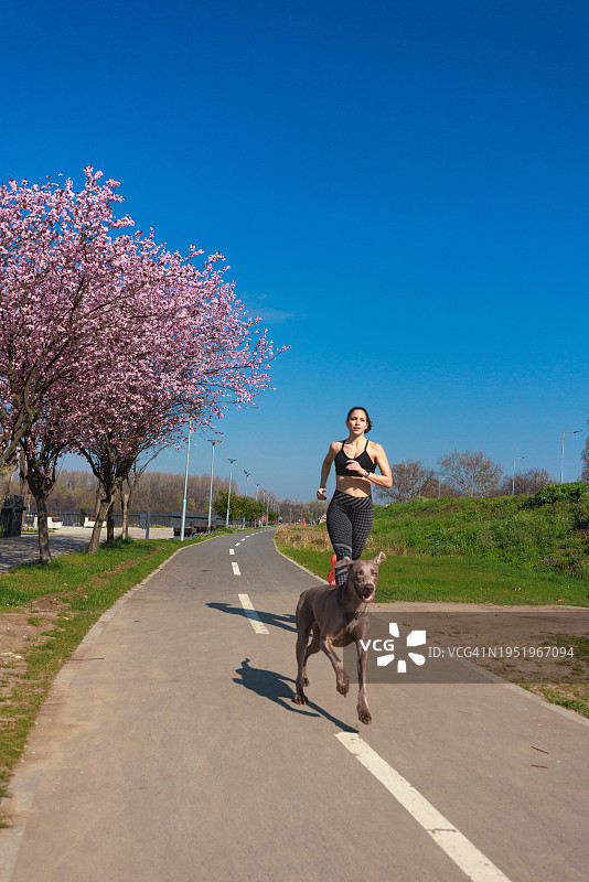 晴朗的一天，年轻女子和她的狗在小路上奔跑图片素材
