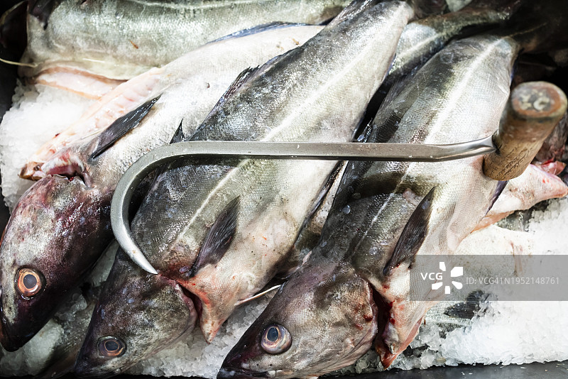 市场上出售的新鲜鱼图片素材