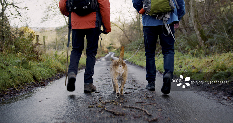 三个最好的朋友图片素材