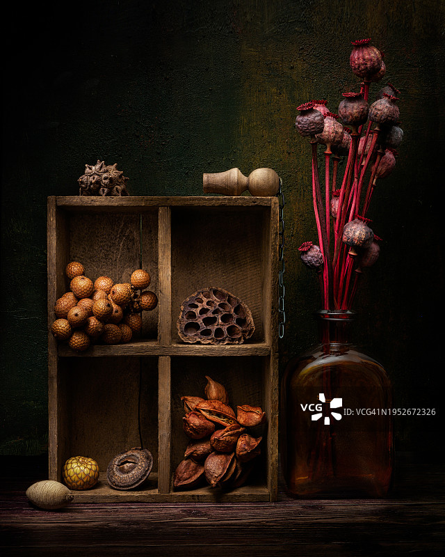 干果静物图片素材